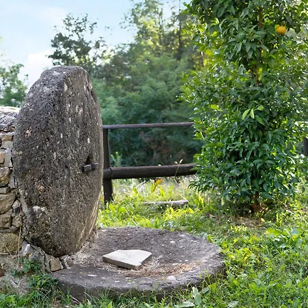Il Mulino - Terra Borzonasca