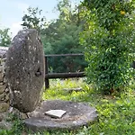 Il Mulino - Terra Borzonasca