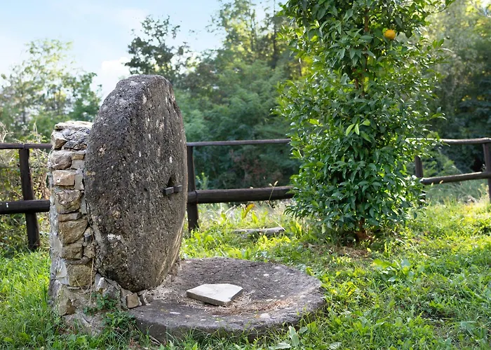Il Mulino - Terra Borzonasca